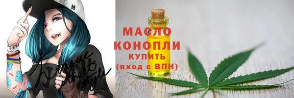 хмурый Абаза