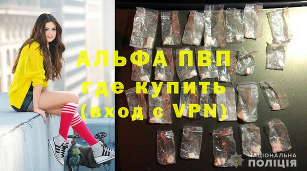 мдпв Няндома
