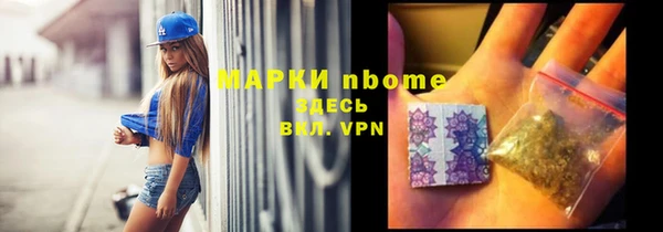 хмурый Алзамай