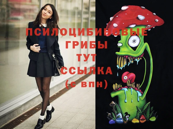хмурый Абаза