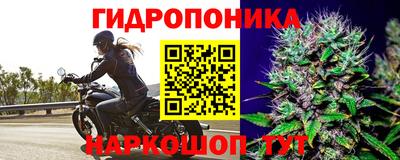 Альфа ПВП Вышний Волочёк